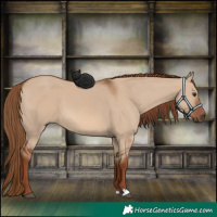 Horse Color:Red Dun 
