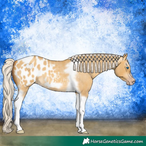 Horse Color:Gray Silver Amber Cream Champagne Roan Dun Splash Tobiano Frame Appaloosa Rabicano 