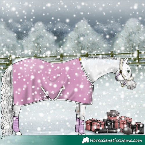 Horse Color:Gray Silver Amber Cream Champagne Roan Dun Splash Tobiano Appaloosa Rabicano