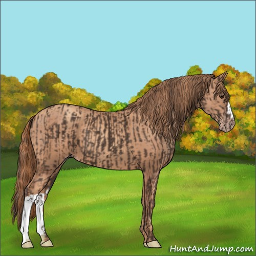 Horse Color:Liver Chestnut  and Gold Champagne 