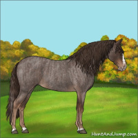 Horse Color:Liver Red Roan  and Liver Red Roan Splash 