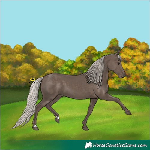 Horse Color:Silver Black