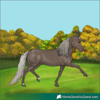 Horse Color:Silver Black 