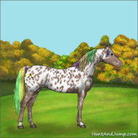 Horse Color:Painted Silver Black Mushroom Appaloosa 