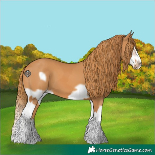 Horse Color:Chestnut Splash Frame  and Chestnut Splash Frame 