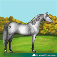 Horse Color:Gray Black 