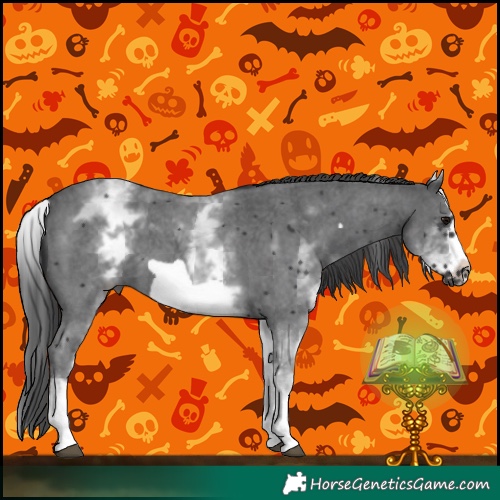 Horse Color:White Spotted Black Sabino Frame 