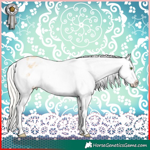 Horse Color:Silver Classic Cream Champagne Roan Splash Tobiano Frame Appaloosa Rabicano 