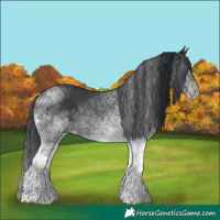 Horse Color:White Spotted Black