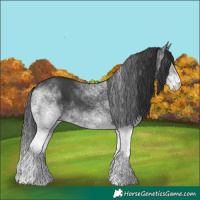 Horse Color:White Spotted Black