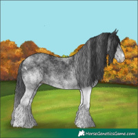 Horse Color:White Spotted Black 