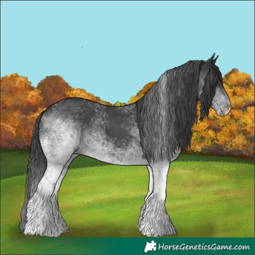 Horse Color:White Spotted Black 