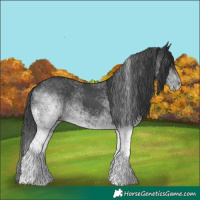 Horse Color:White Spotted Black 