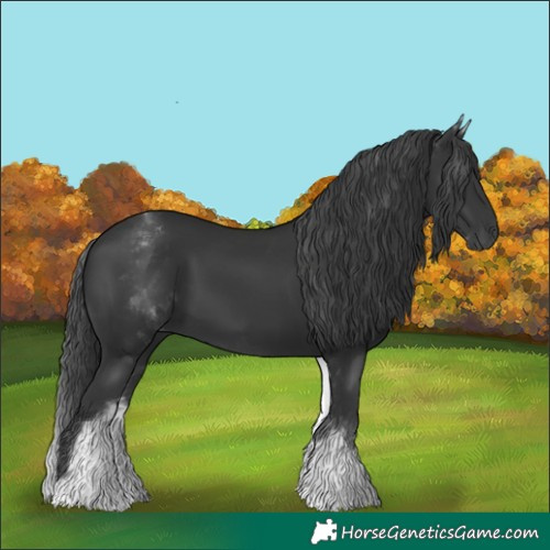 Horse Color:White Spotted Black