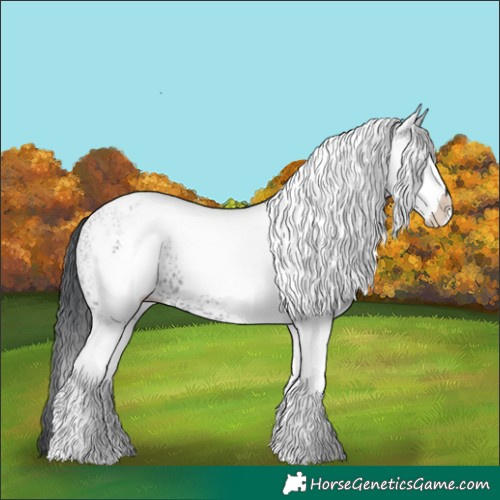 Horse Color:White Spotted Black 