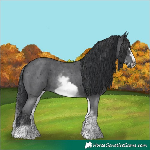 Horse Color:White Spotted Black Sabino Frame