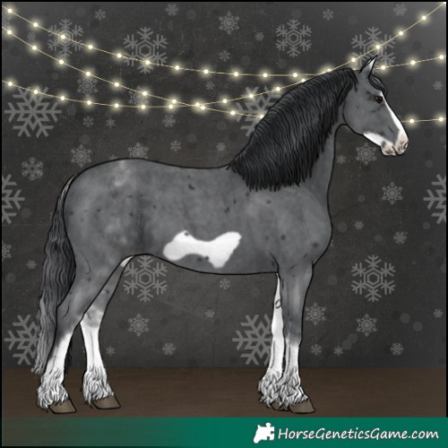 Horse Color:White Spotted Black Sabino Frame 