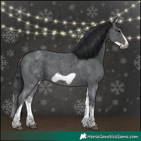 Horse Color:White Spotted Black Sabino Frame 