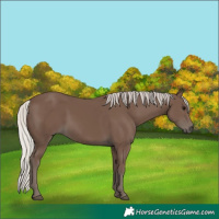 Horse Color:Silver Black 