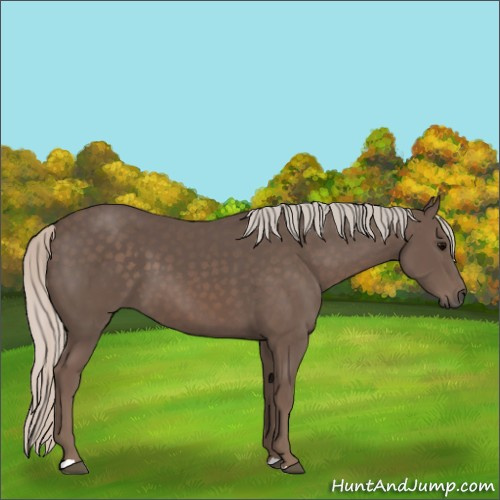 Horse Color:Silver Black 