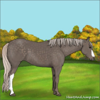 Horse Color:Silver Black 