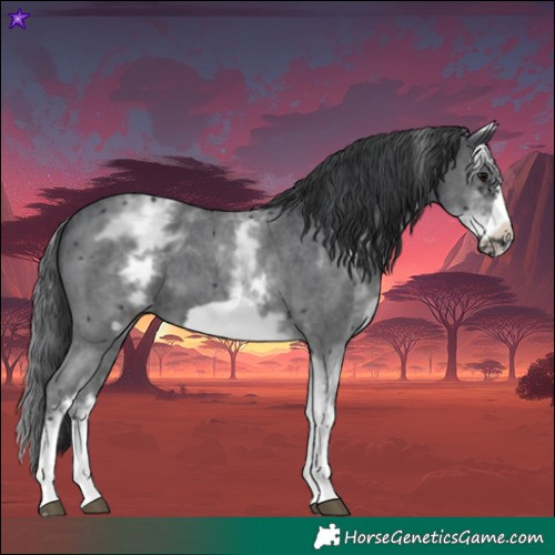 Horse Color:White Spotted Black Sabino Frame 