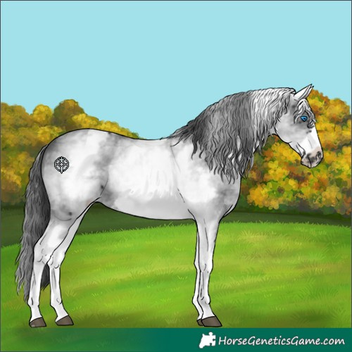 Horse Color:White Spotted Black Sabino Frame 