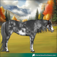 Horse Color:White Spotted Black Sabino Frame 