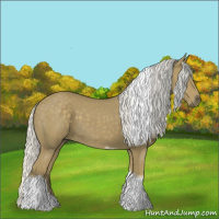 Horse Color:Silver Smoky Black Tobiano 