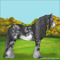 Horse Color:White Spotted Black Sabino Frame