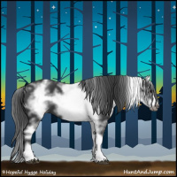 Horse Color:White Spotted Black Sabino Frame 