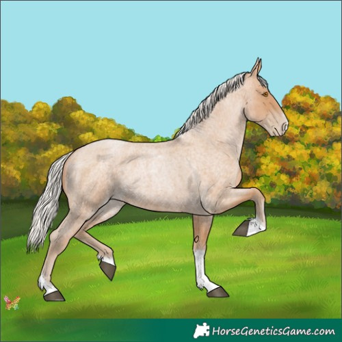 Horse Color:Silver Blue Roan Pearl Tobiano Frame