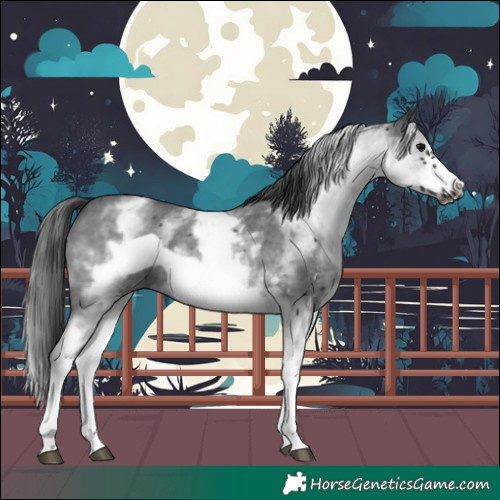 Horse Color:White Spotted Black Sabino Frame 