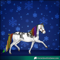Horse Color:Painted Black Sabino Splash Appaloosa 