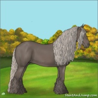 Horse Color:Silver Black