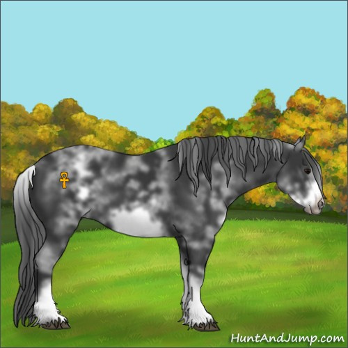 Horse Color:White Spotted Black Sabino Frame 