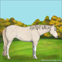 Horse Color:Smoky Creme 