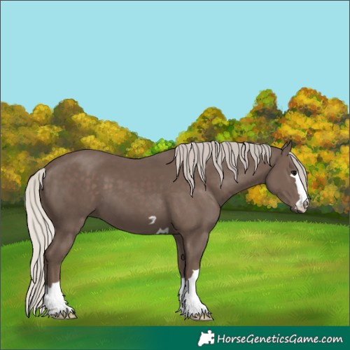 Horse Color:Silver Black 