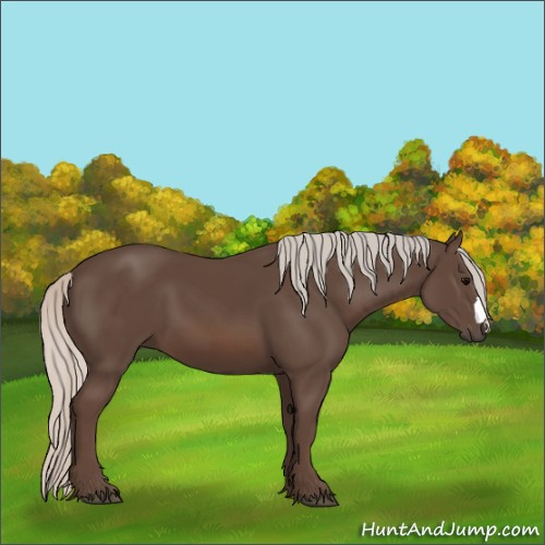 Horse Color:Silver Black 