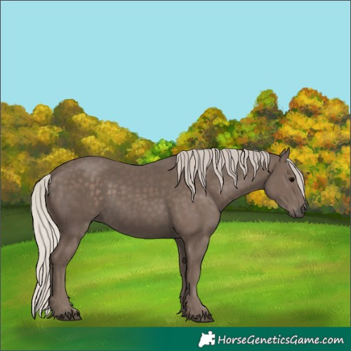 Horse Color:Silver Black 