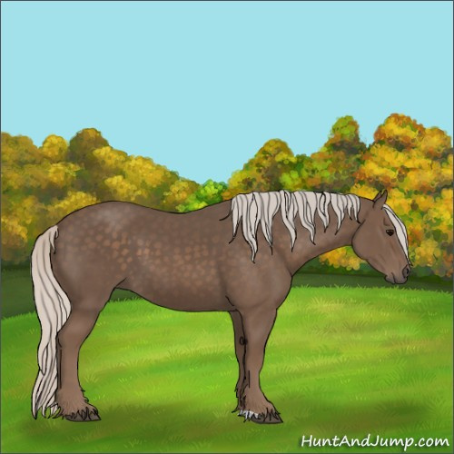 Horse Color:Silver Black 