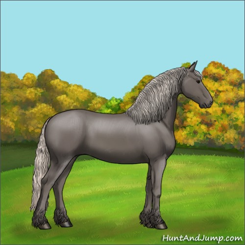 Horse Color:Silver Black 