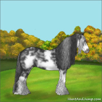 Horse Color:White Spotted Black Sabino Frame