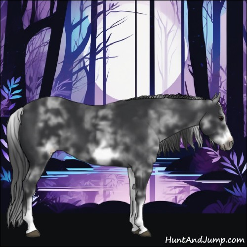 Horse Color:White Spotted Black Sabino Frame