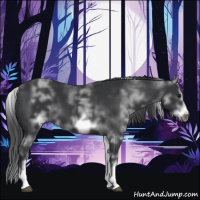 Horse Color:White Spotted Black Sabino Frame 