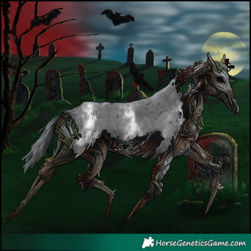 Horse Color:White Spotted Black Sabino Frame 