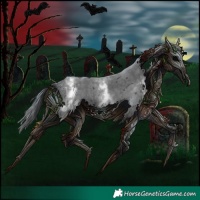 Horse Color:White Spotted Black Sabino Frame 