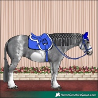 Horse Color:White Spotted Black Sabino Frame 