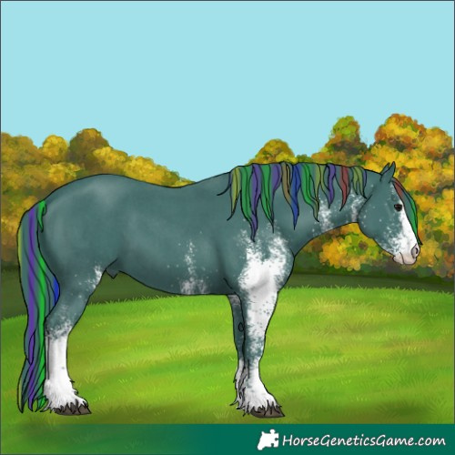 Horse Color:Painted Watercolor White Spotted Smoky Black