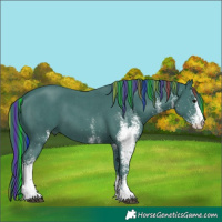 Horse Color:Painted Watercolor White Spotted Smoky Black